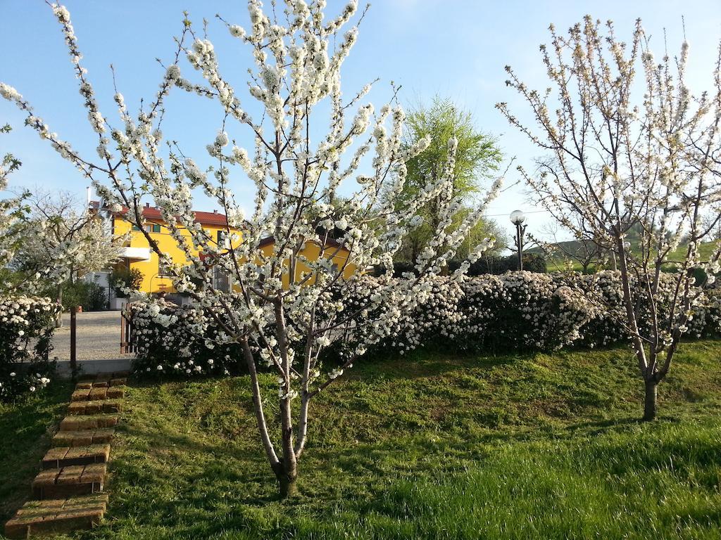 Osteria Da Cesare E Locanda Castel San Pietro Terme Kültér fotó